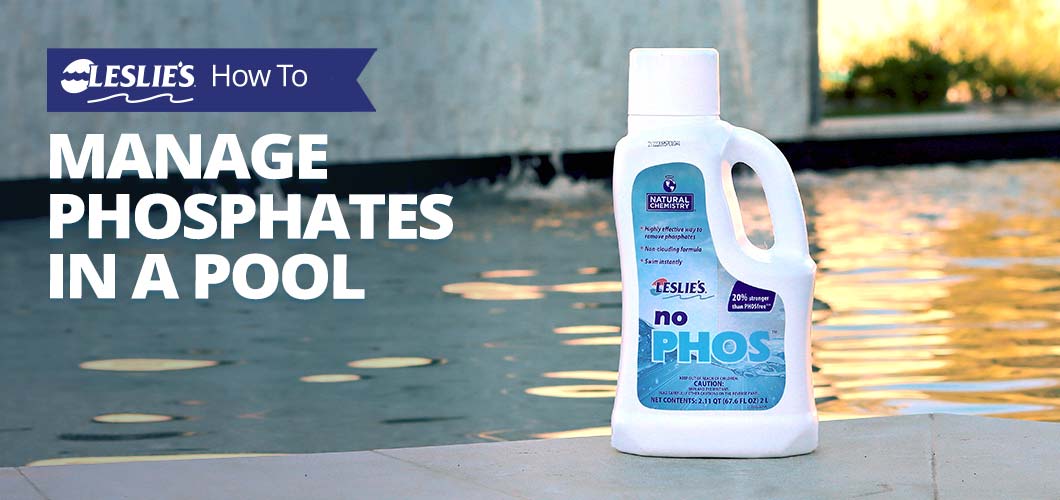 How to Manage Phosphates in a Poolthumbnail image.